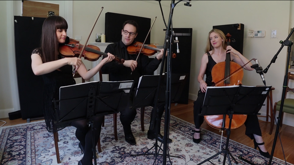  'Can't Help Falling in Love' by Elvis Presley - Accent String Trio 